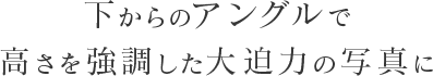 下からのアングルで高さを強調した大迫力の写真に