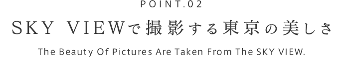 POINT.02 SKY VIEWで撮影する東京の美しさ