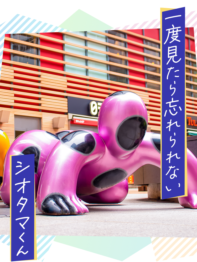 一度みたら忘れられないシオタマくん