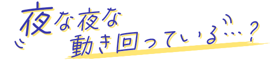 夜な夜な動き回っている・・・？