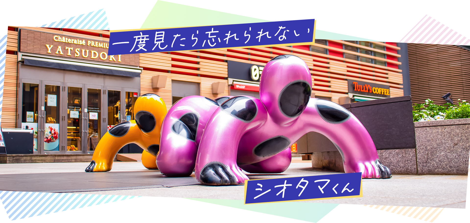 一度みたら忘れられないシオタマくん