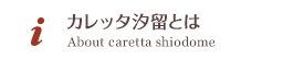 カレッタ汐留とは